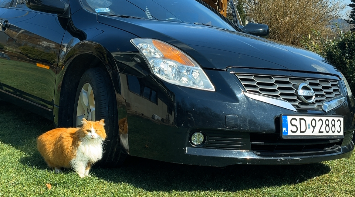 Nissan Altima