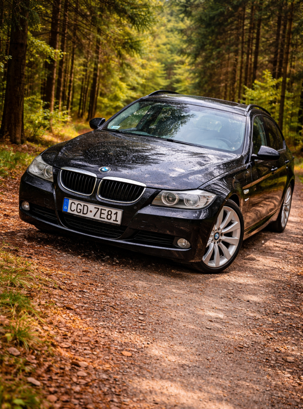 BMW 3 Seria