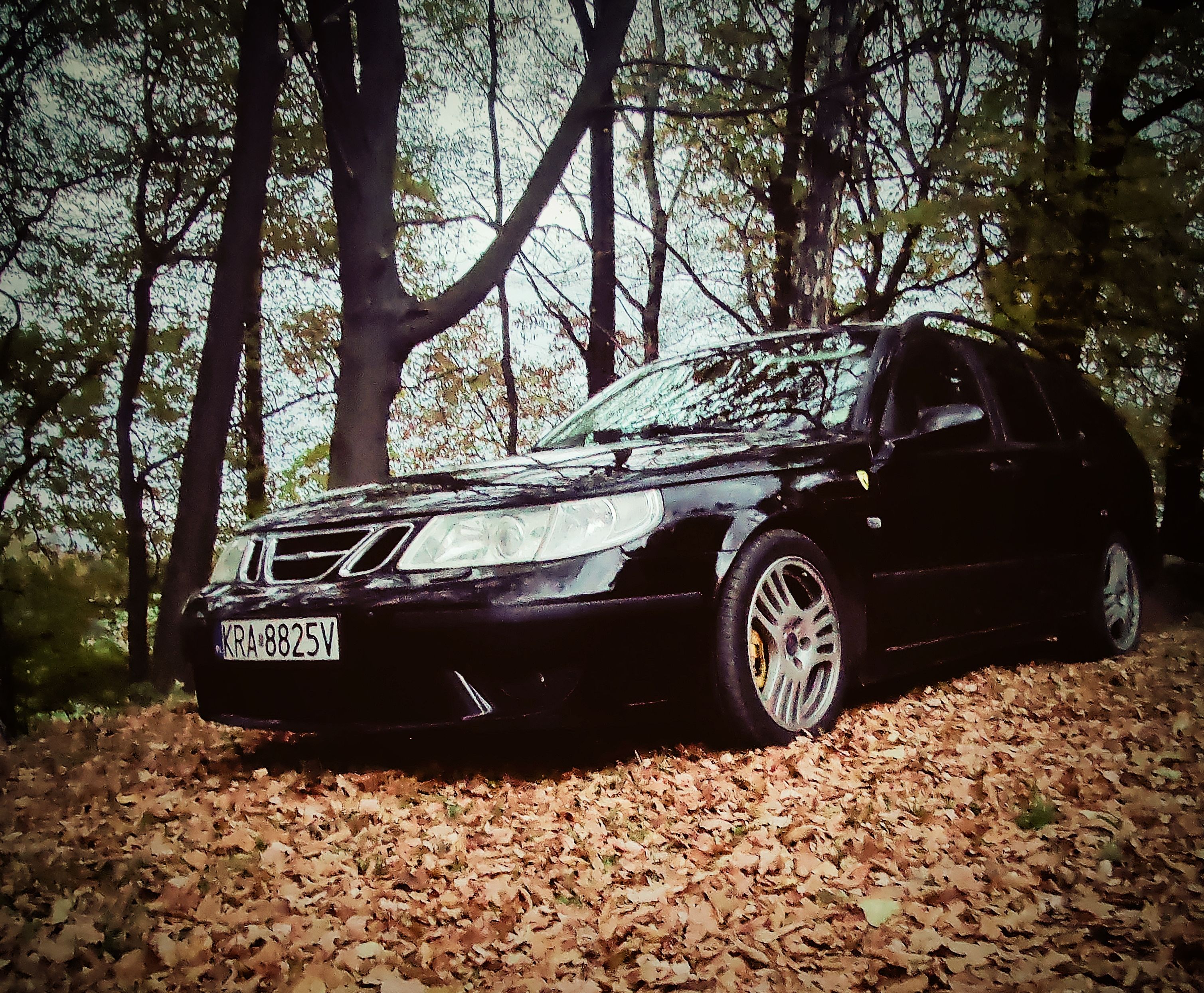 Saab 9-5