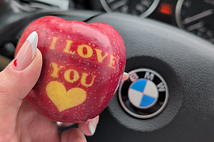 BMW 5 Seria