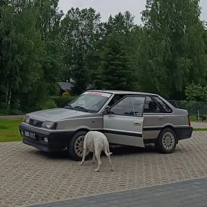Adi