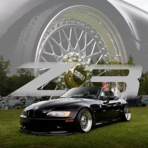 Z3_blacki
