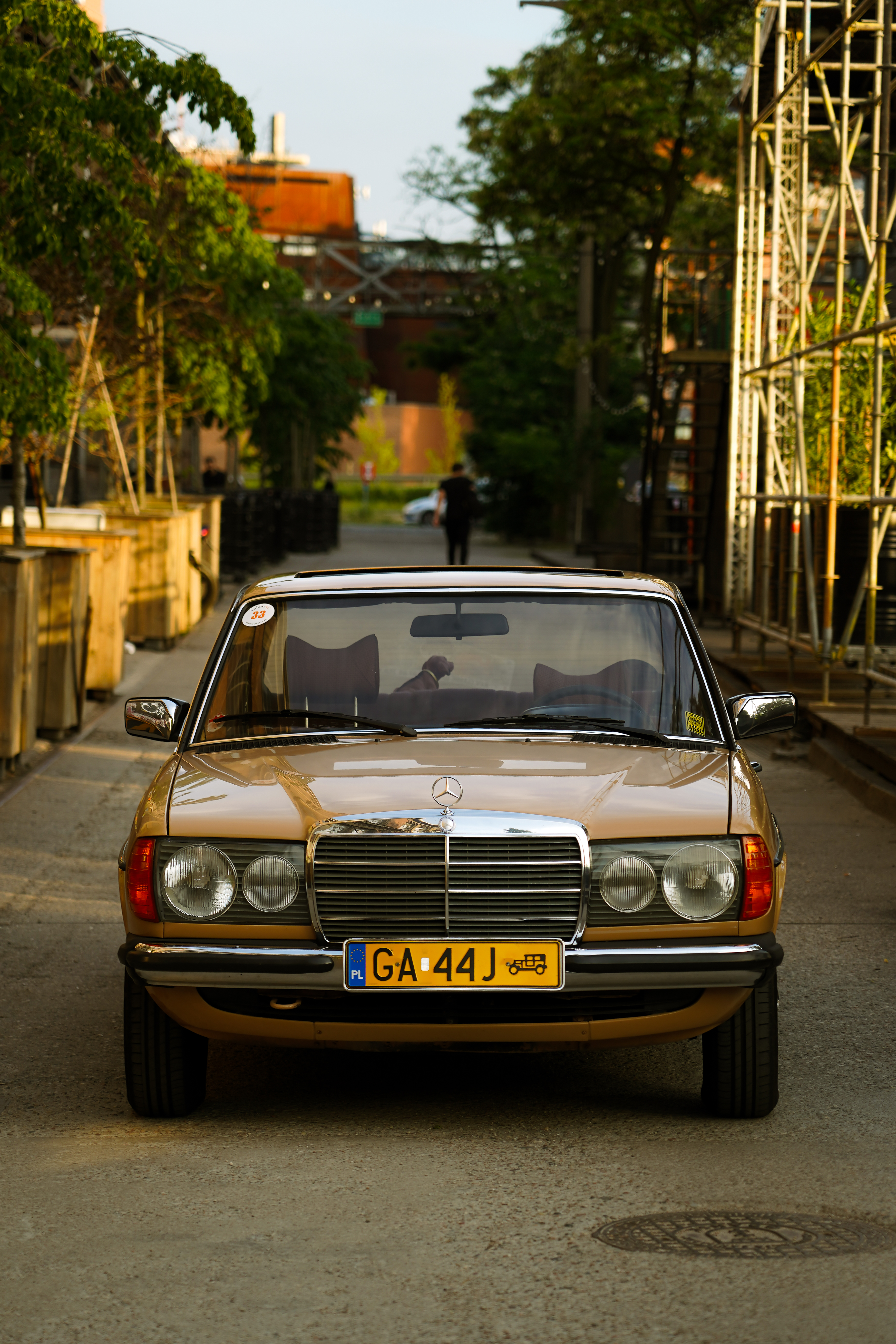 Mercedes-Benz W123