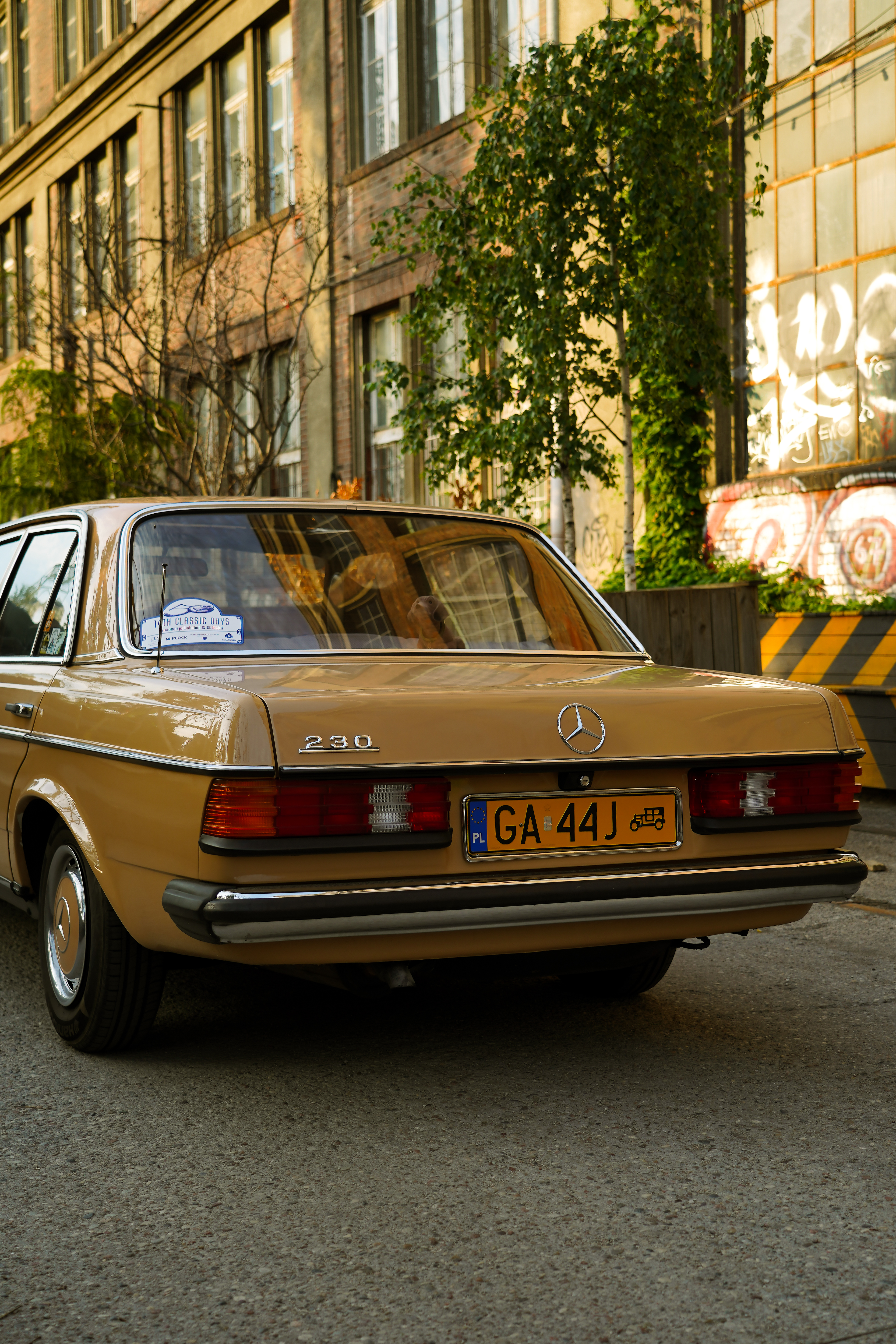 Mercedes-Benz W123