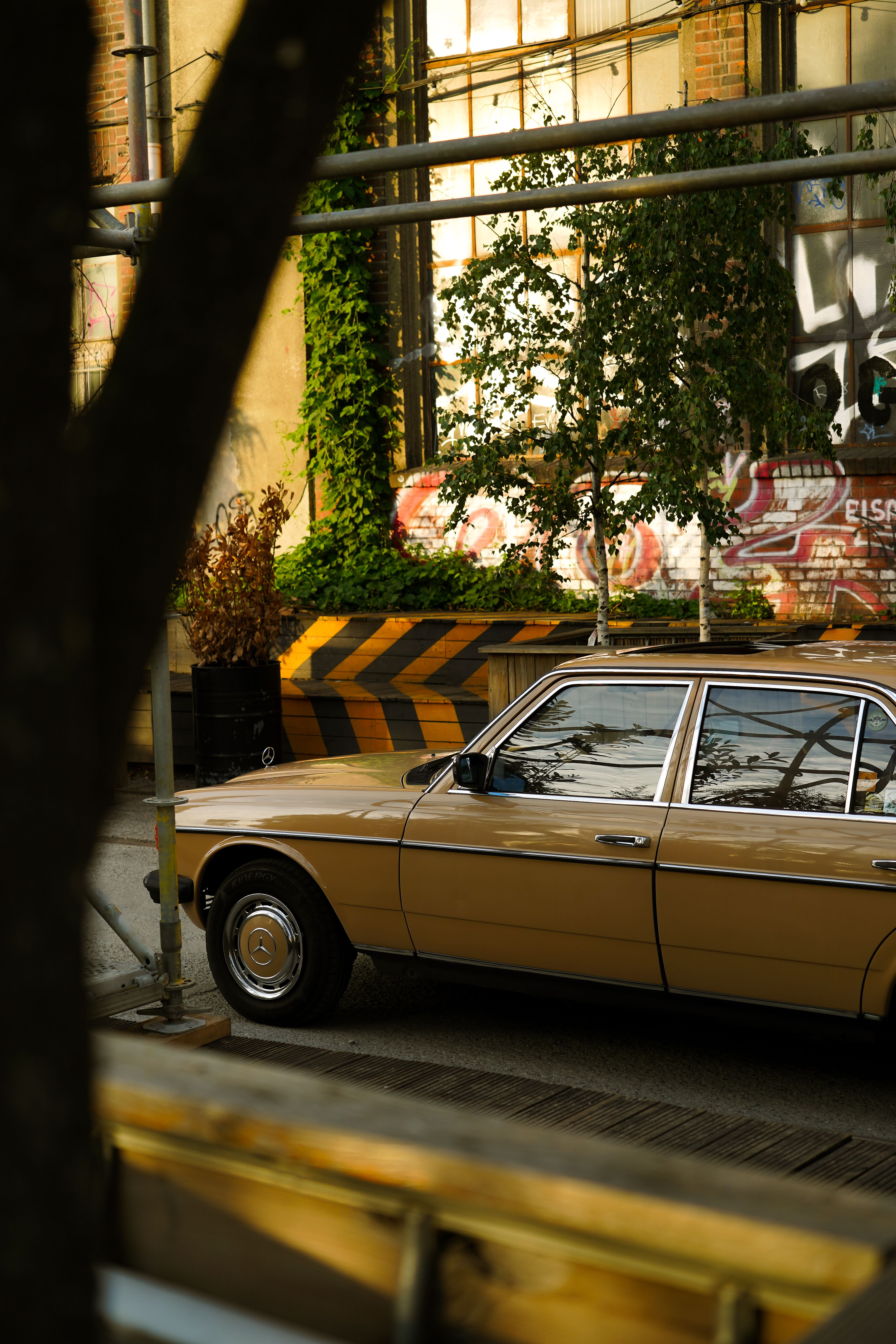 Mercedes-Benz W123