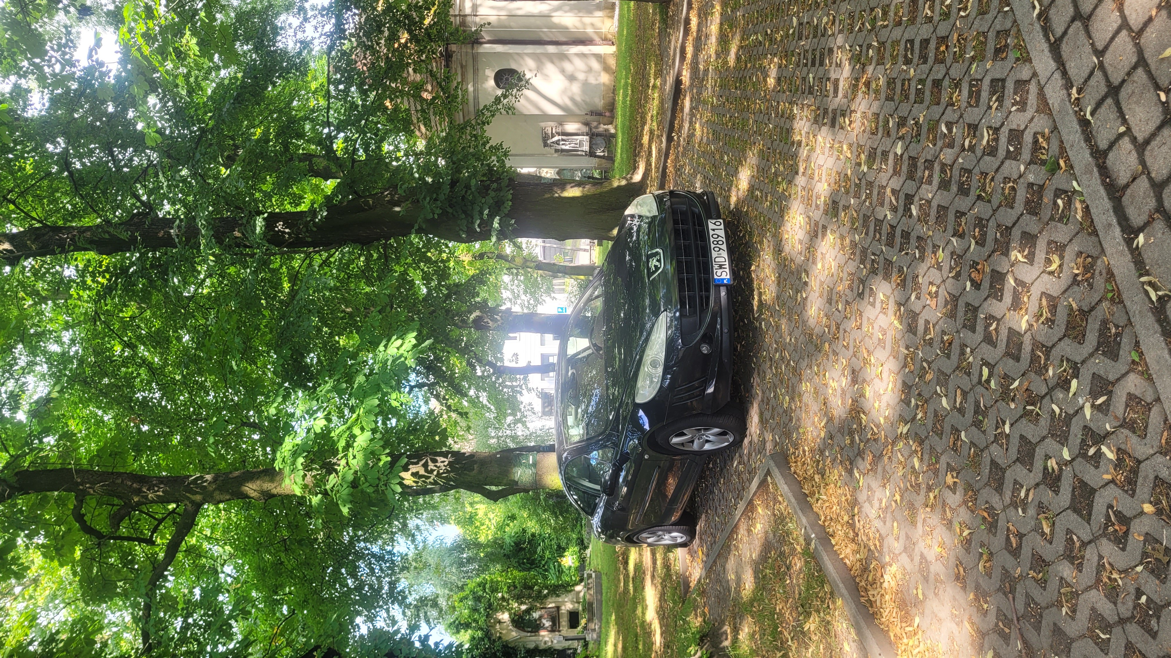 Peugeot 407 COUPE