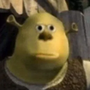 RZ4SZK0