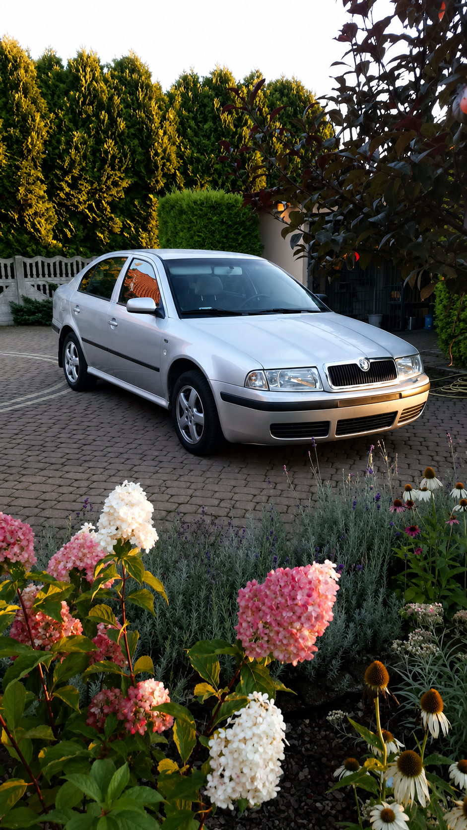 Skoda Octavia I