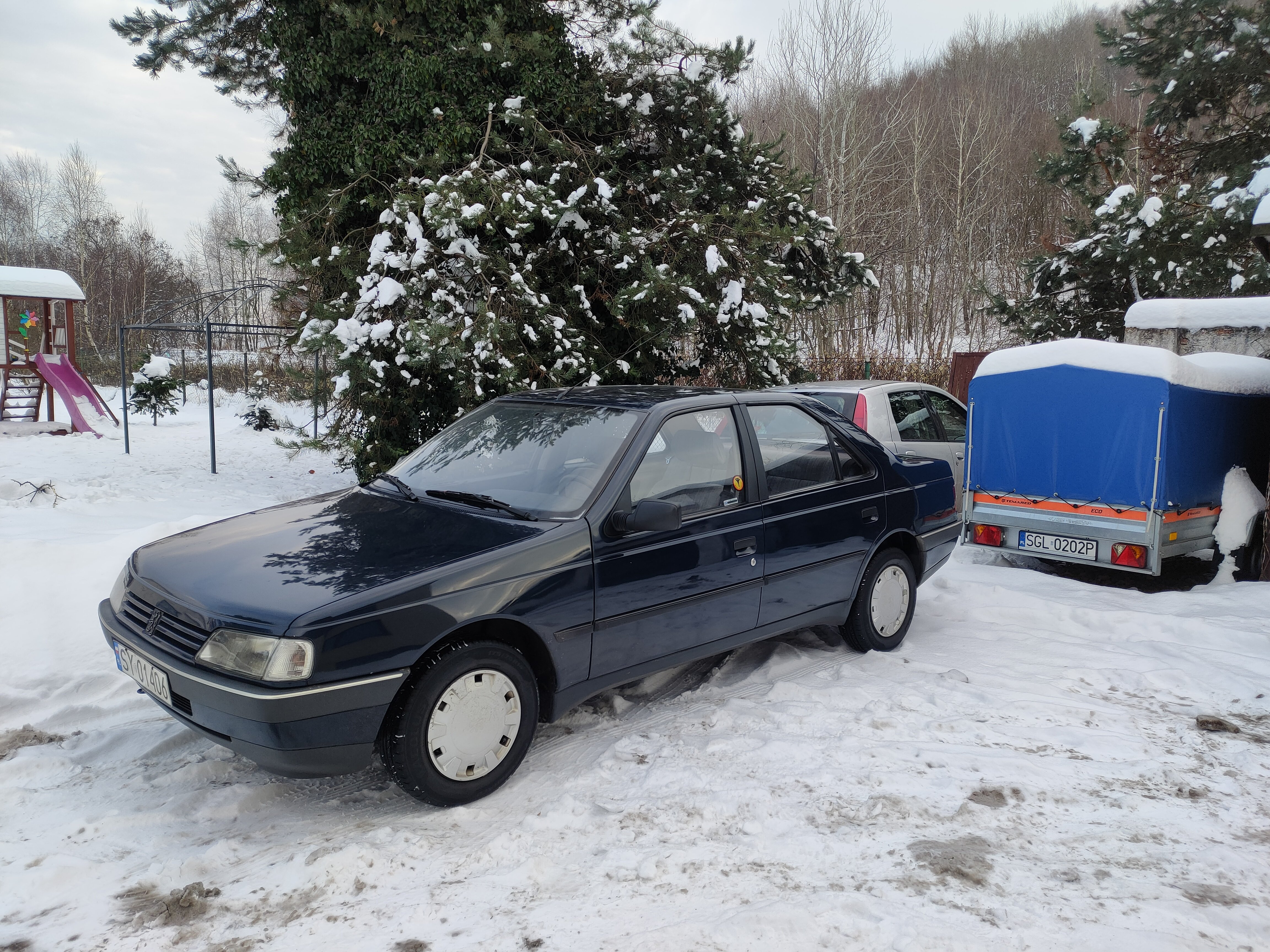 Peugeot 405