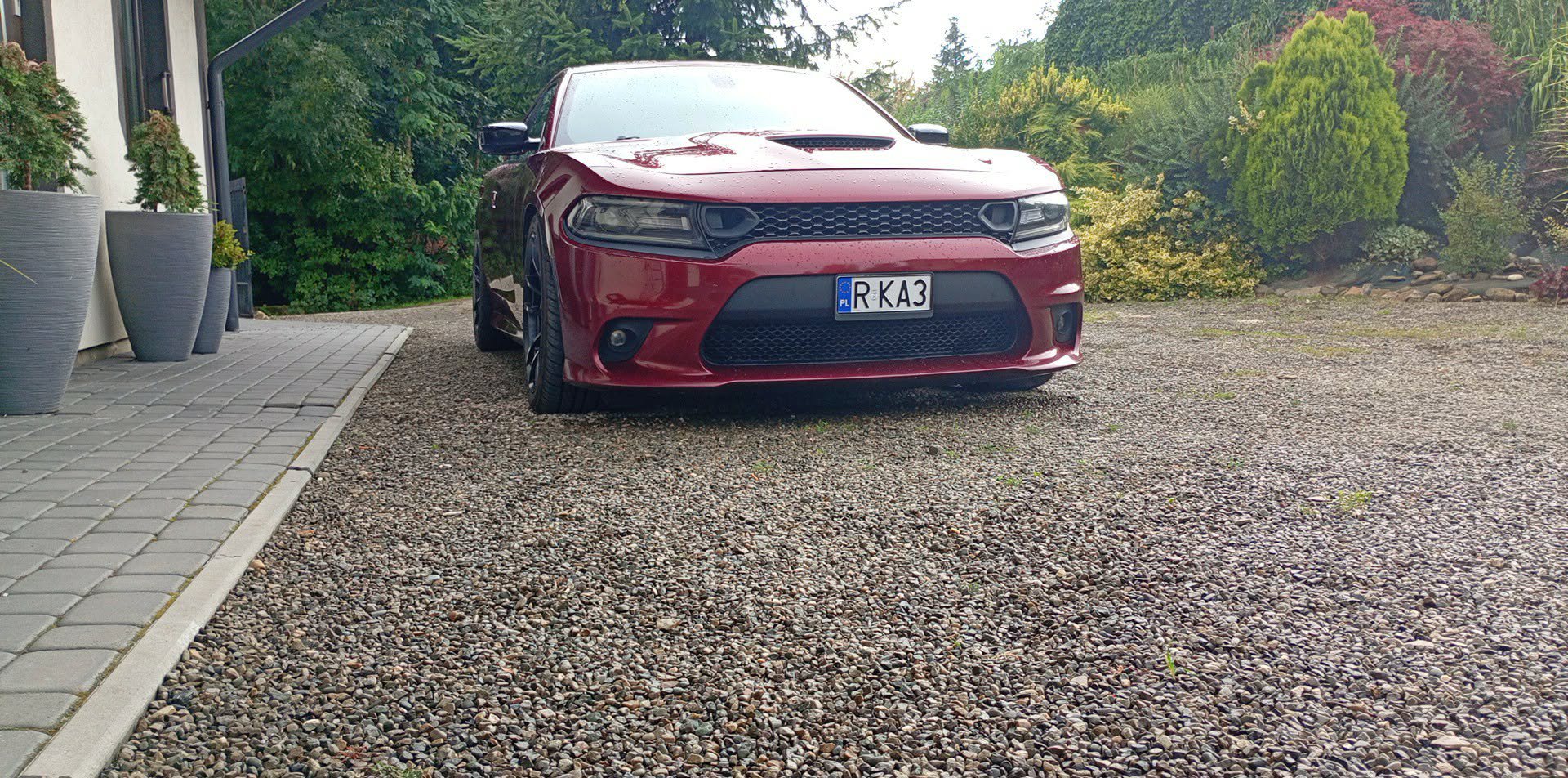 Dodge Charger