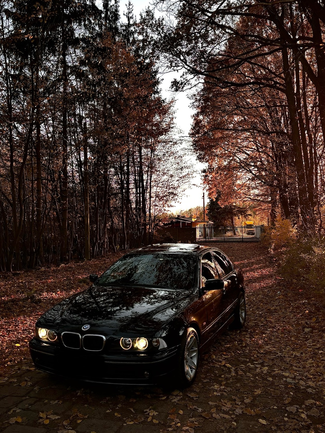 BMW 5 Seria