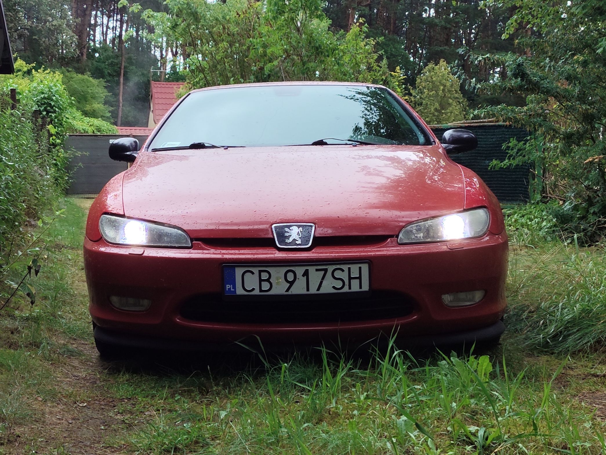 Peugeot 406