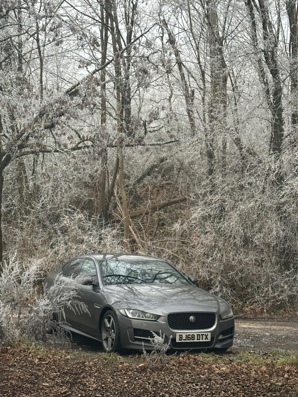 Jaguar XE