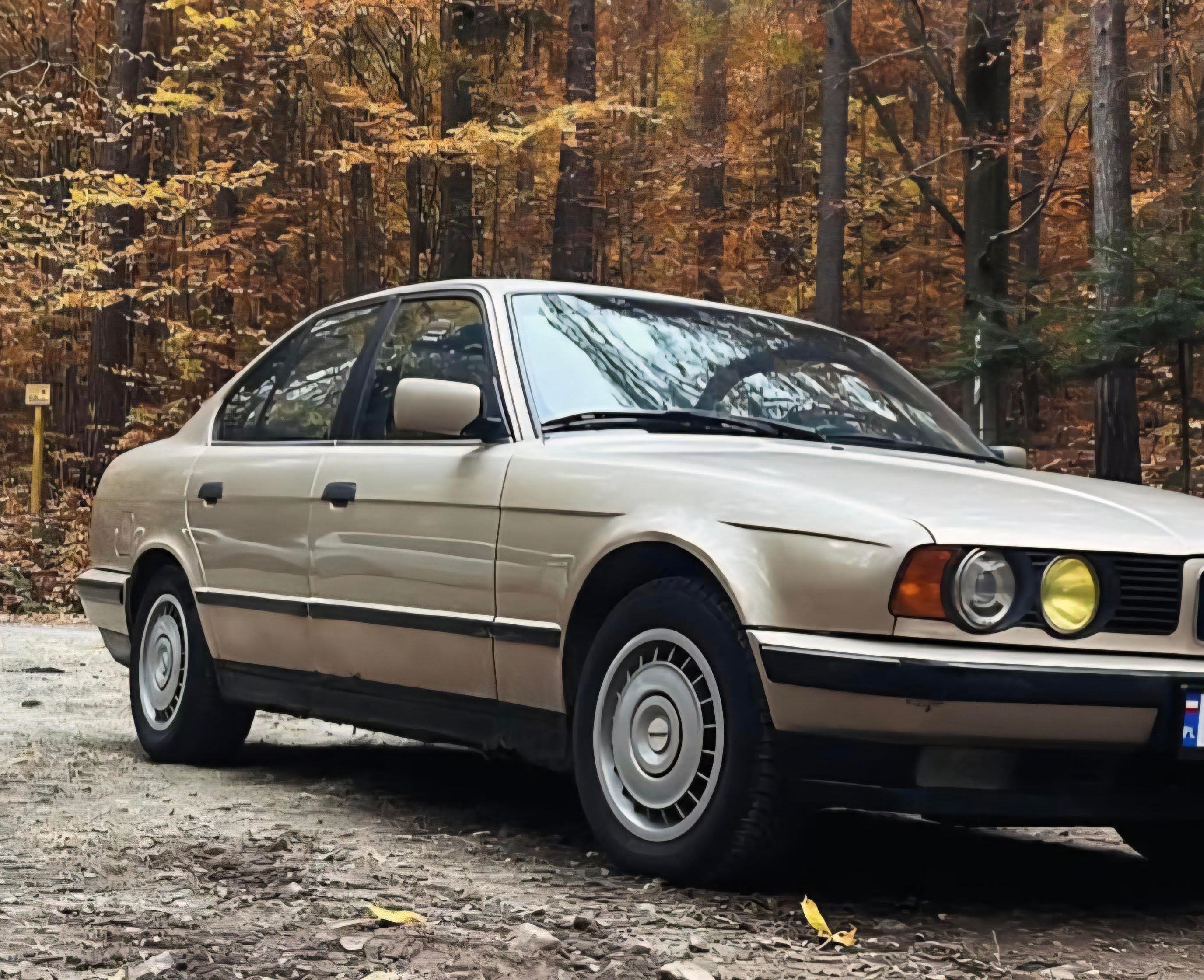 BMW 5 Seria