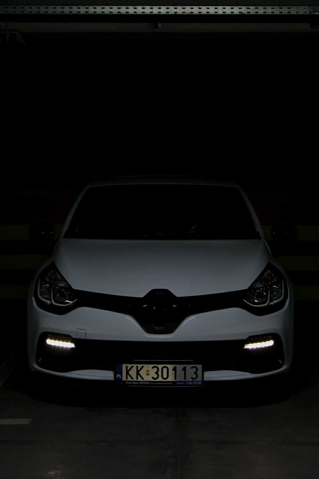 Renault Clio RS TROPHY