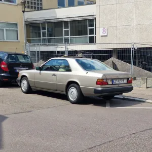 Marcepan