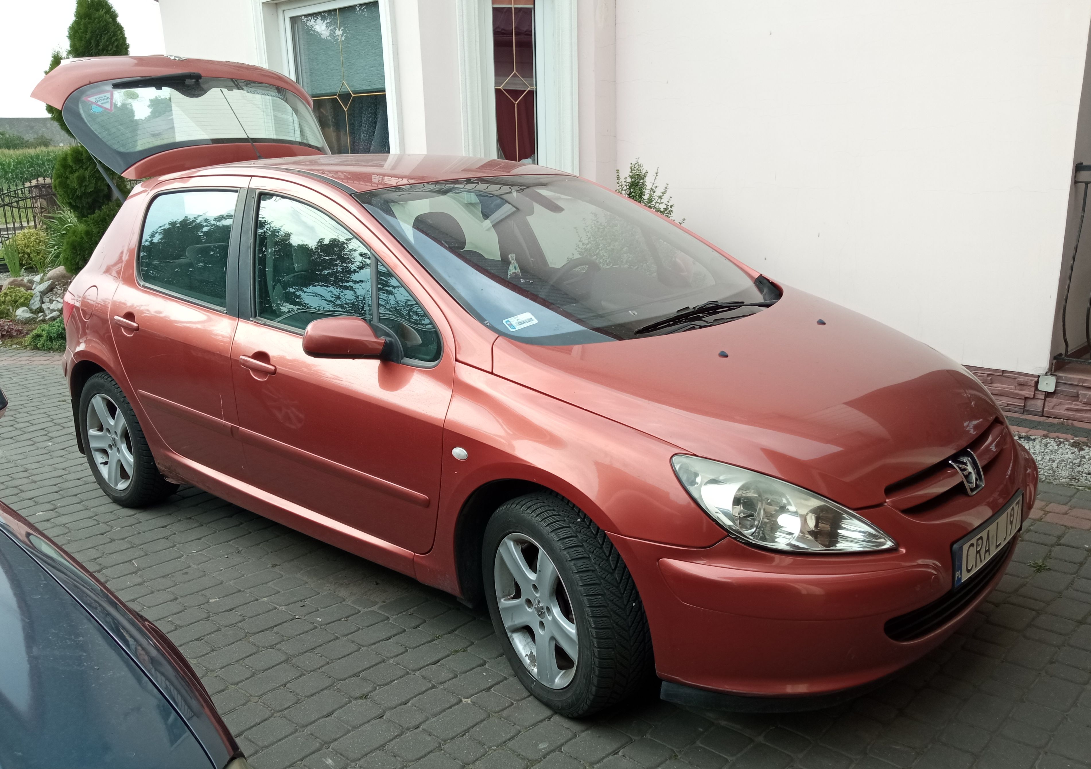 Peugeot 307