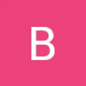 Bauvan
