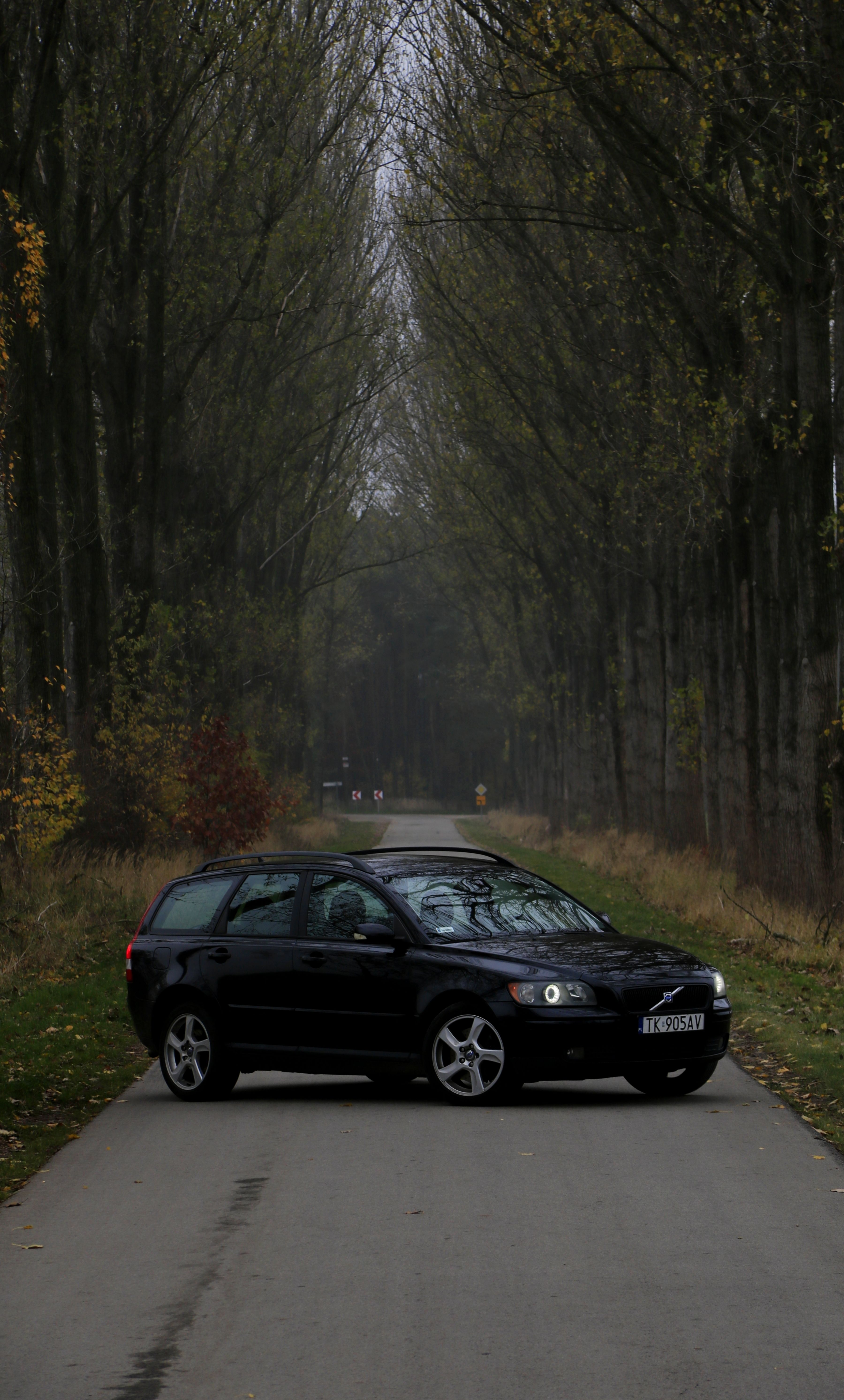 Volvo V50