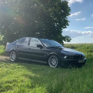 Wezzyr260