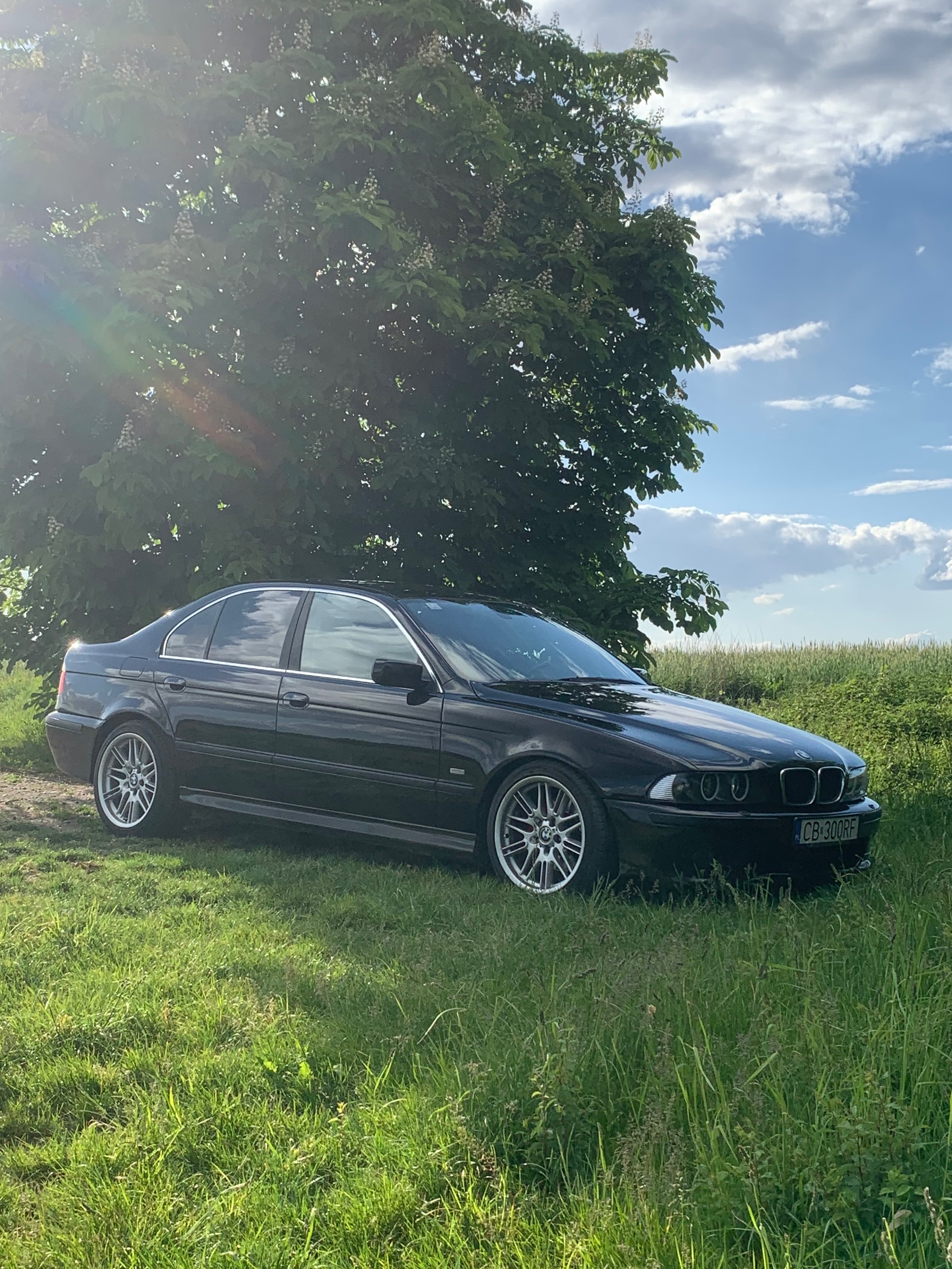 BMW 5 Seria